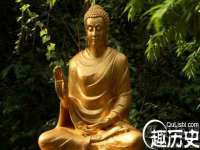 宁夏贝斯特科贸有限公司