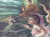 宁夏贝斯特科贸有限公司